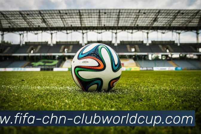 世界杯买球APP 封面图