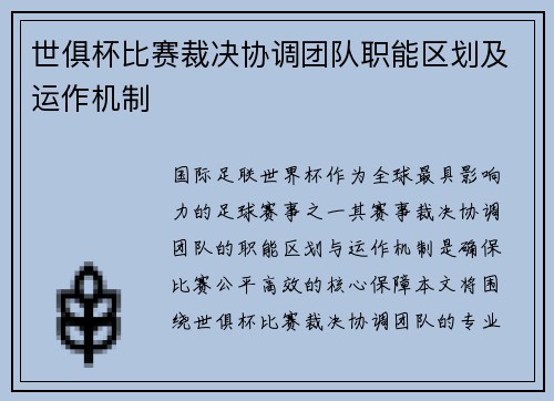 世俱杯比赛裁决协调团队职能区划及运作机制